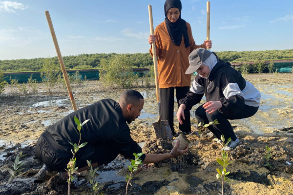 Ajman University and Al Zorah Golf Club, affiliated with Al Zorah Development Private Company, Launch Mangrove Planting and Golf Tour Initiative