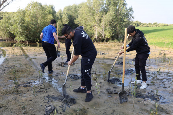 Ajman University and Al Zorah Golf Club, affiliated with Al Zorah Development Private Company, Launch Mangrove Planting and Golf Tour Initiative