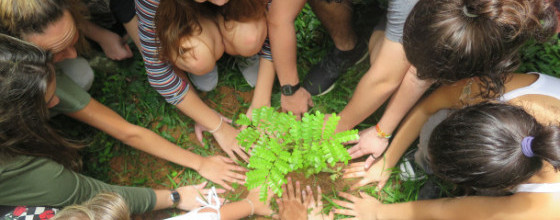 Greening Education Partnership with UNESCO