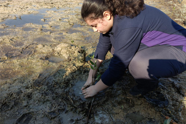 Ajman University and Al Zorah Golf Club, affiliated with Al Zorah Development Private Company, Launch Mangrove Planting and Golf Tour Initiative