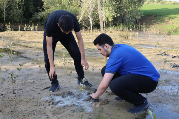 Ajman University and Al Zorah Golf Club, affiliated with Al Zorah Development Private Company, Launch Mangrove Planting and Golf Tour Initiative