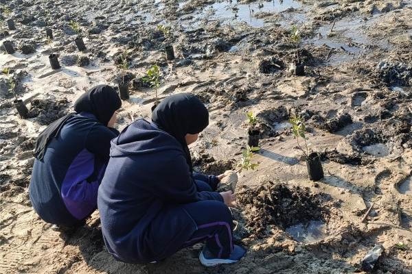 Ajman University and Al Zorah Golf Club, affiliated with Al Zorah Development Private Company, Launch Mangrove Planting and Golf Tour Initiative